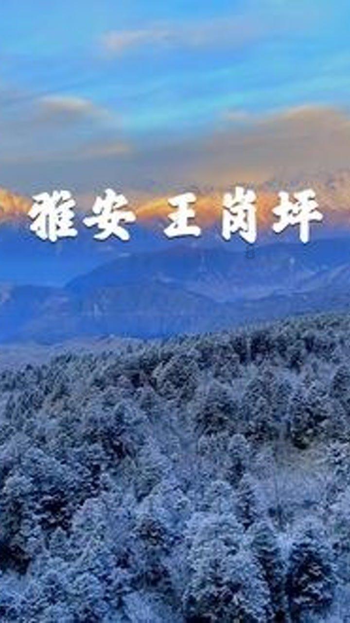 绝爱之城之华胥引小说中《浮生尽》的结局