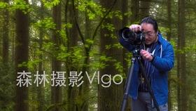 “缤纷的冬日——剪纸迎新春共庆幸福年”亲子剪纸活动